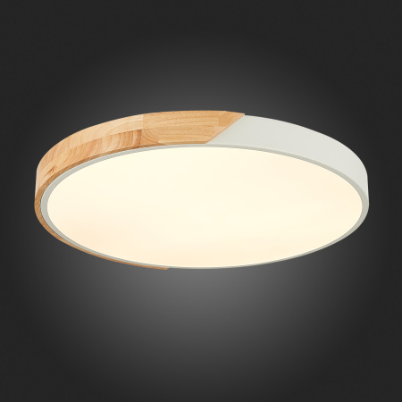 картинка Потолочный светильник светодиодный Festa SLE200952-01 от магазина BTSvet