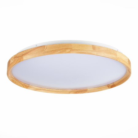 картинка Потолочный светильник светодиодный с регулировкой цветовой температуры Delia SLE201382-01 от магазина BTSvet