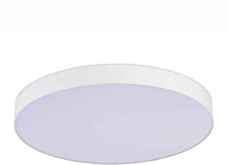 Потолочный светильник ST Luce ST606.532.96