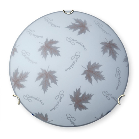 Настенно-потолочный светильник V6285/2A