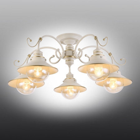 картинка Потолочная люстра Torri OML-50807-05 от магазина BTSvet