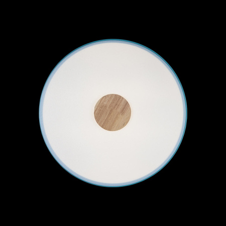 картинка Потолочный светильник светодиодный Axel 10003/24 Blue от магазина BTSvet