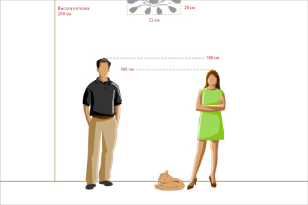 картинка Потолочная люстра Vostorg 242016508 от магазина BTSvet