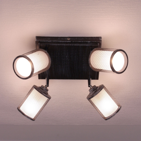 картинка Настенно-потолочный светильник Robin CL535541 от магазина BTSvet