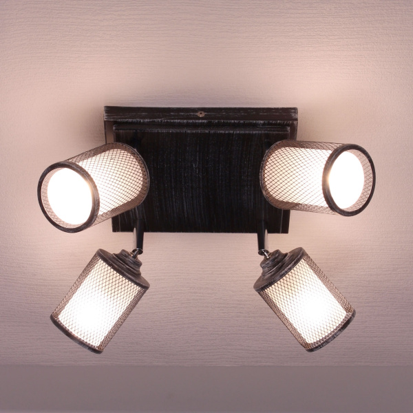 картинка Настенно-потолочный светильник Robin CL535541 от магазина BTSvet