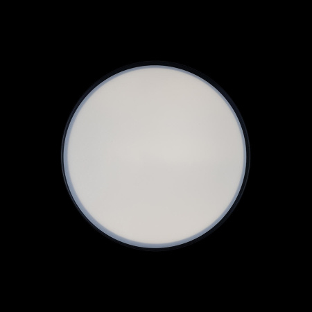 картинка Потолочный светильник светодиодный Axel 10002/12 Black от магазина BTSvet