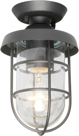 Потолочный светильник уличный Pointer 3021-1P IP44