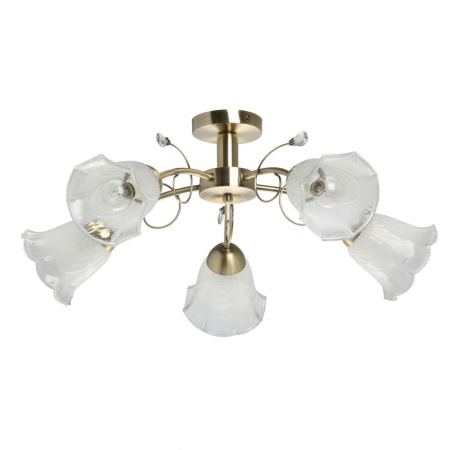 Потолочная люстра на штанге Флора 670011005