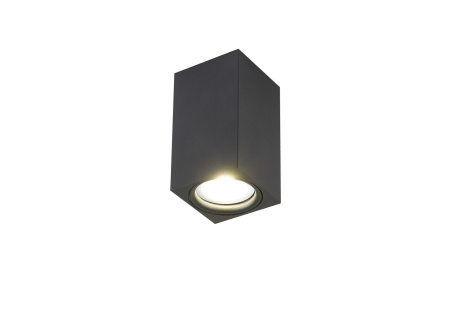 Накладной светильник 2035-1CLB