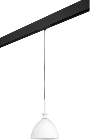 Трековый светильник однофазный 220V Lightstar Agola PRO810020