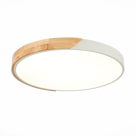 картинка Потолочный светильник светодиодный Festa SLE200952-01 от магазина BTSvet