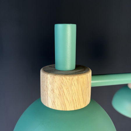 картинка Потолочная люстра на штанге FANTA_A01 от магазина BTSvet