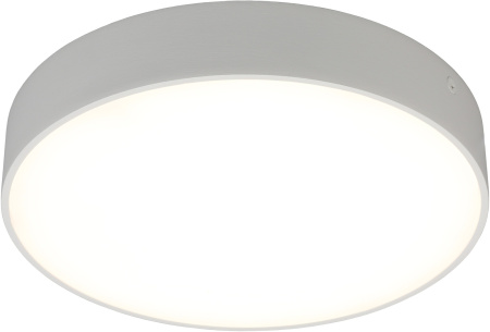 Потолочный светильник светодиодный Evon APL.0114.09.24