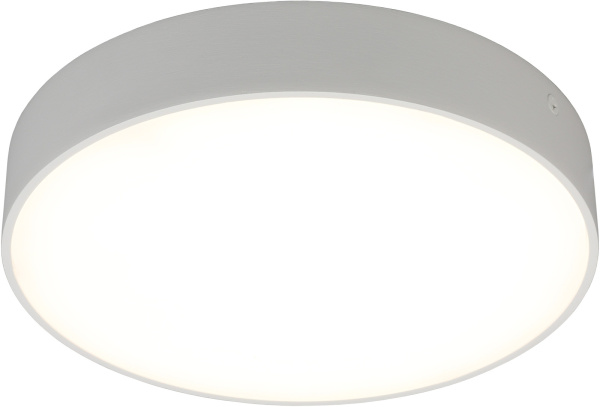 Потолочный светильник светодиодный Evon APL.0114.09.24