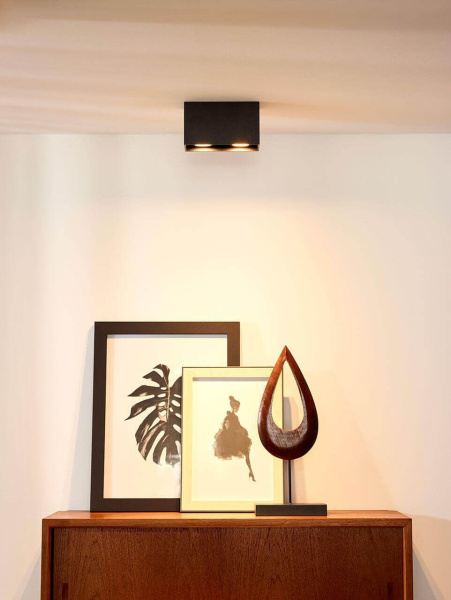 картинка Точечный накладной светильник Bodi 09101/02/30 от магазина BTSvet