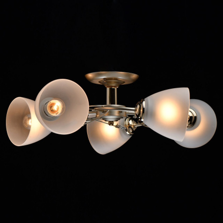 картинка Потолочная люстра Нежность 676013405 от магазина BTSvet