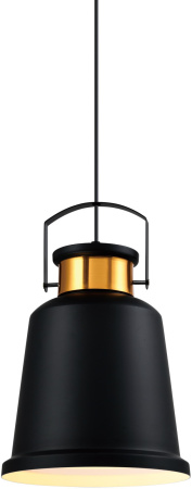 картинка Подвесной светильник V1450-1P Done 1*E27*60W от магазина BTSvet