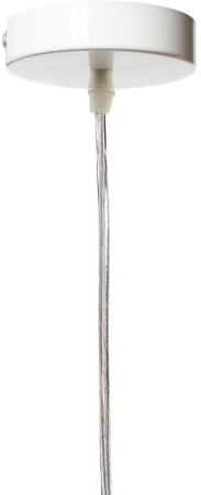 картинка Подвесной светильник с птичкой Newborn LOFT1806 от магазина BTSvet