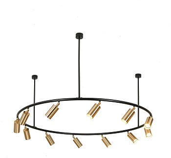 Потолочная люстра светодиодная Кайко 07615-12