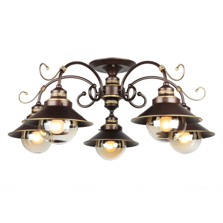 Потолочная люстра OML-50407-05