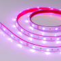 картинка Светодиодная лента герметичная RTW-PS-B30-13mm 12V RGB (7.2 W/m, IP67, 5060, 5m) (Arlight) 028711 от магазина BTSvet