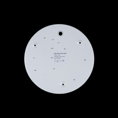 картинка Потолочный светильник светодиодный Axel 10002/12 White от магазина BTSvet