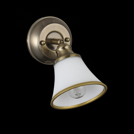 картинка Спот Jasinta FR2272-WL-01-BS от магазина BTSvet