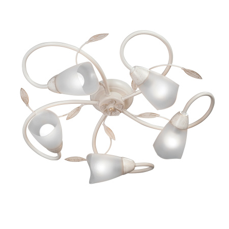 Потолочная люстра V3879-0/5PL