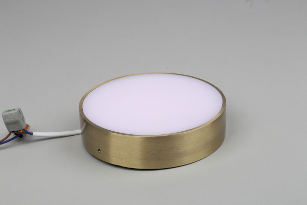 картинка Потолочный светильник светодиодный Evon APL.0114.29.18 от магазина BTSvet