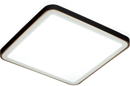 картинка Настенно-потолочный светильник Akuna 7621/DL от магазина BTSvet