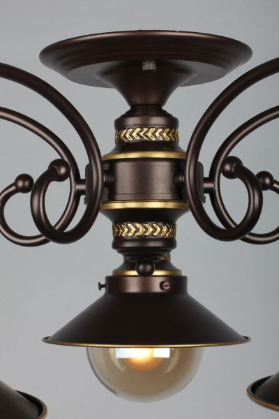 картинка Потолочная люстра OML-50407-05 от магазина BTSvet