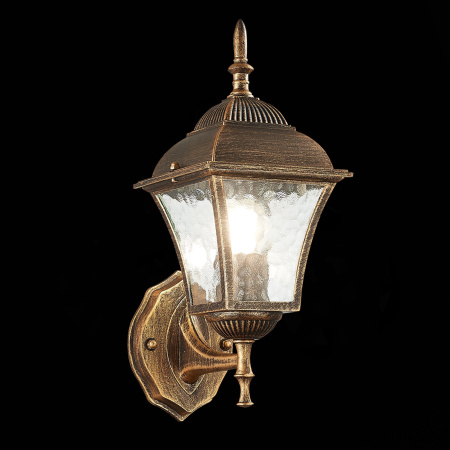 картинка Настенный фонарь уличный Domenico SL082.201.01 IP44 от магазина BTSvet