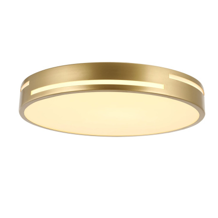 Потолочный светильник светодиодный Pall 2745-2C