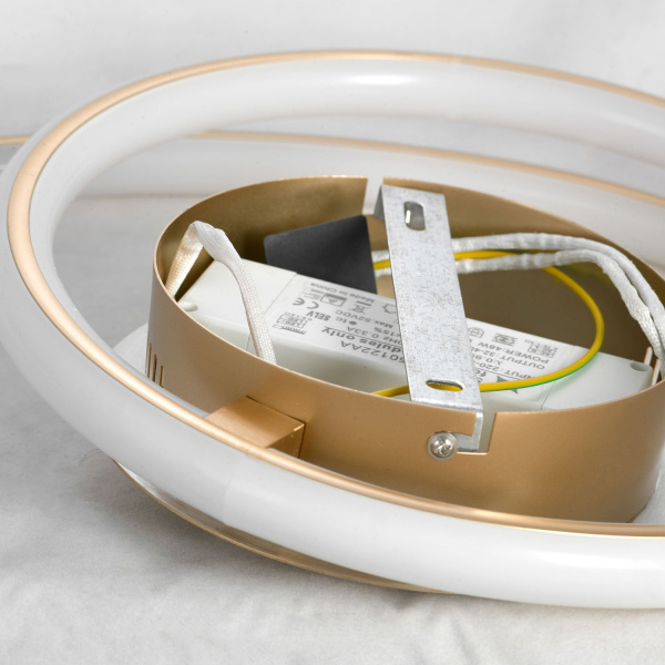 картинка Потолочная люстра светодиодная Ingersoll LSP-8346 от магазина BTSvet