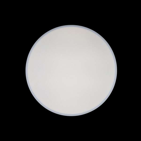 картинка Потолочный светильник светодиодный Axel 10002/24 White от магазина BTSvet