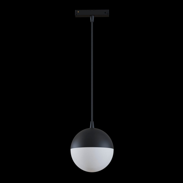 картинка Трековый светильник светодиодный Track lamps TR018-2-10W4K-B от магазина BTSvet
