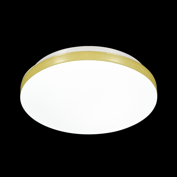 картинка Настенно-потолочный светильник светодиодный для ванной Smalli 3066/AL IP43 от магазина BTSvet