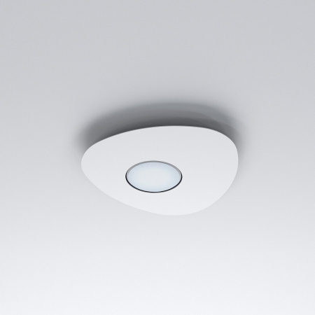 картинка Потолочный светильник Nowodvorski Organic 8305 от магазина BTSvet