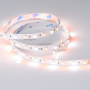 картинка Светодиодная лента RT-B60-10mm 24V RGBW-Day (14.4 W/m, IP20, 5060, 5m) (Открытый) 018326(2) от магазина BTSvet