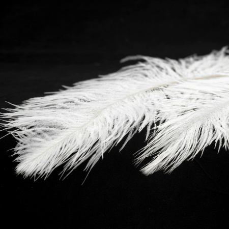 картинка Люстра подвесная LSP-8601 от магазина BTSvet