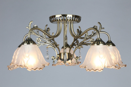 картинка Потолочная люстра Petrara OML-54807-05 от магазина BTSvet