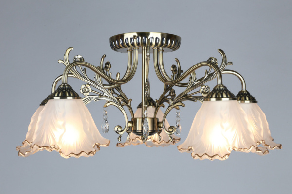 картинка Потолочная люстра Petrara OML-54807-05 от магазина BTSvet