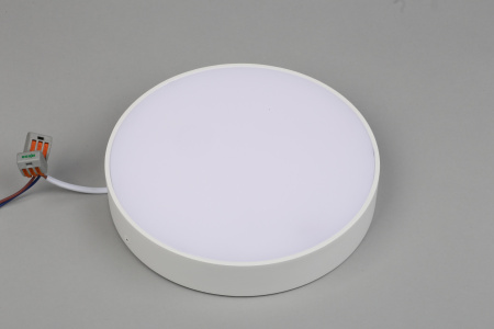 картинка Потолочный светильник светодиодный Evon APL.0114.09.24 от магазина BTSvet