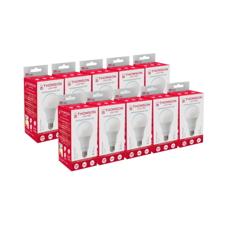 картинка Лампочка светодиодная A80 TH-B2353 от магазина BTSvet