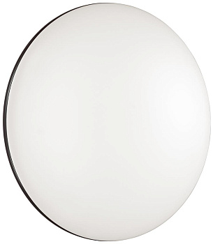 Настенно-потолочный светильник светодиодный для ванной с пультом и управлением смартфоном регулировкой цветовой температуры и яркости ночным режимом Vaka 3042/EL IP43