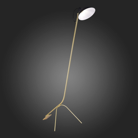 картинка Торшер ST Luce Jarro SL1803.205.01 от магазина BTSvet