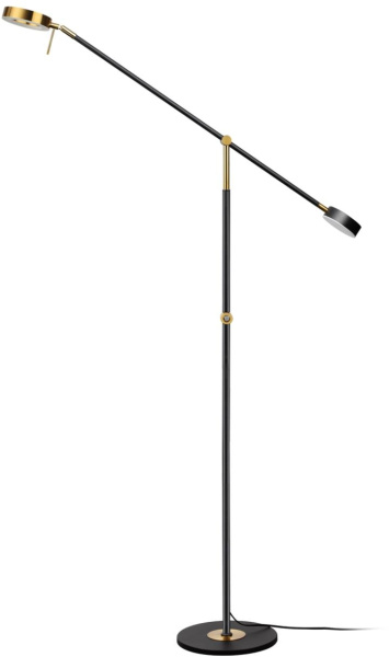 Торшер Denzel 4321/20FL