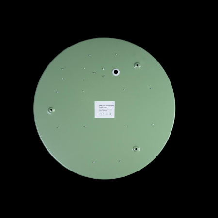 картинка Потолочный светильник светодиодный Axel 10003/24 Green от магазина BTSvet