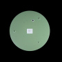 картинка Потолочный светильник светодиодный Axel 10003/24 Green от магазина BTSvet