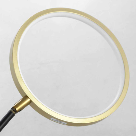 картинка Потолочная люстра светодиодная Gilbert LSP-8433 от магазина BTSvet